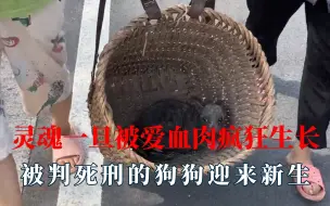 灵魂一旦开始被爱，血肉就会疯狂生长！