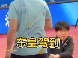 爽文男主登场，一直看一直爽。