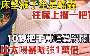 床垫被子用久了全是螨虫！现在才知道原来螨虫最怕它！往床上撒一把，不用洗、不用晒，10秒把螨虫杀关关！