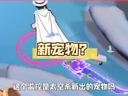 新宠物吗？有点意思