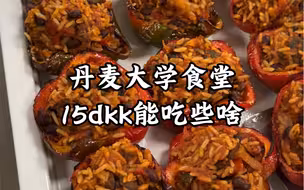 丹麦大学食堂｜鸡丝面包真的绝