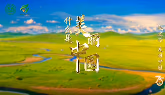 什么是美丽中国 ？