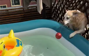 这水不好喝~