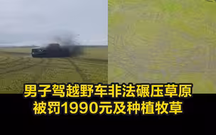 痛心！男子驾越野车非法碾压草原，被罚1990元及种植牧草