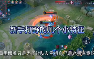 新手打野的几个小特征