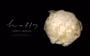 芍药 奶油碗 鲜花延时摄影 | 送你一朵洁白的云
