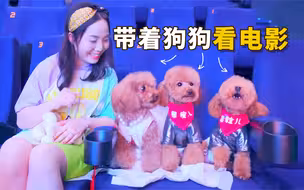30个铲屎官带30只狗狗看电影，吐舌怪叫大喘气，场面太热闹！