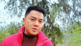 难怪快36岁了还是单身狗，原来是没找到脱单方法，感觉之前白活了