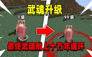 当在我的世界武魂可以升级！最终武魂附上十万年魂环，该如何通关