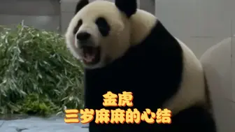 （考古）金虎:永永成了三岁麻麻的心结咯
