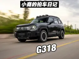 大型连续剧：《你有车吗》