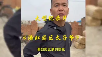 大型纪录片《潘虹园区太子爷》持续为您播出