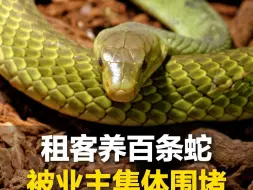 租客养百条蛇被业主集体围堵，社区介入后租客表示会尽快搬离