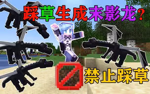 MC踩到草方块就会一直生成末影龙！你能活多久？我的世界Minecraft