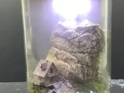 小羊很忙