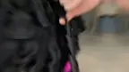 短发法式卷