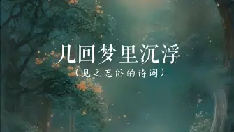 “依旧满身花雨，又归来”