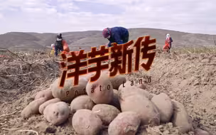 纪录片丨洋芋新传：西海固人的活命薯
