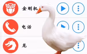 不同版本的白鹅叫声