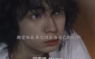 “奶狗吃醋变狼狗 霸道强吻的戏码 我爱看”