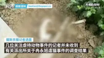 河北软件职业技术学院学生被指再虐猫，前次行为学校已移交警方
