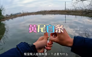 串钩太好玩了