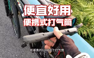 便宜好用自行车便携式打气筒推荐