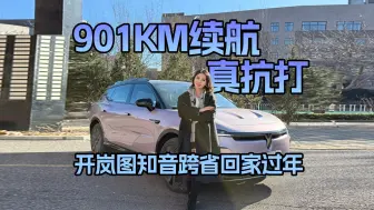 901km续航真抗打 开岚图知音跨省回家过年