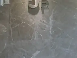 我妈妈单位的蒂升电梯