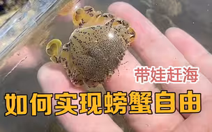 这种赶海鞋，你们见过吗？穿一回，哭半年