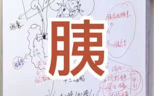 胰腺炎，祝大家身体健康！