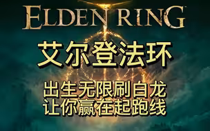 艾尔登法环出生无限刷白龙，光速升级
