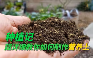 自己制作种菜养花的营养土，超详细的教程，建议收藏！