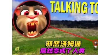 我们不小心遭遇到了邪恶汤姆猫袭击