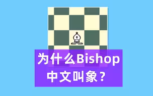 为什么国际象棋的棋子不直接翻译成主教、骑士、城堡？