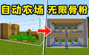 我的世界：生存必备的，3个简单农场！