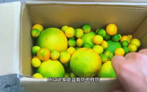 家庭盆栽果树最可怕的敌人