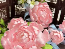 芍药花也太美了