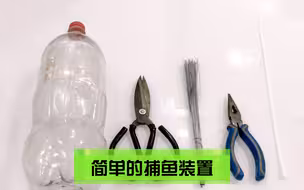 用废弃的可乐瓶做一个捕鱼装置，下水十分钟收货不少