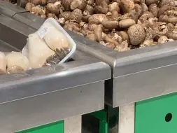 真的能这样吗？