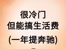 很冷门但能搞生活费，一年提奔驰！