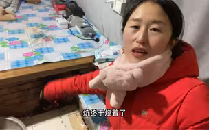东北黑龙江晚上零下40度，鸡冻死一只，半夜十二点烧炕