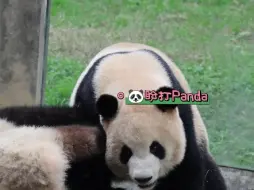 莽仔和小五的摔打训练课日常be like…