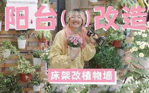 旧床架爆改阳台植物墙
