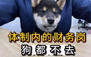 体制内的财务岗？狗都不去！还不如.....|事业单位
