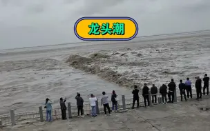 钱塘江大潮之龙头潮