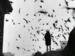 詩意的流浪 | Sergio Larrain作品賞析