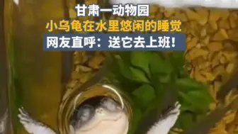 太羡慕了