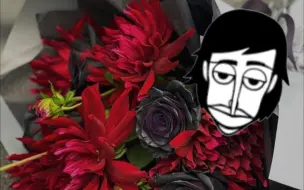当《Dooprαvdy》遇上incredibox