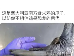 “人间真实网络沙雕梗图”